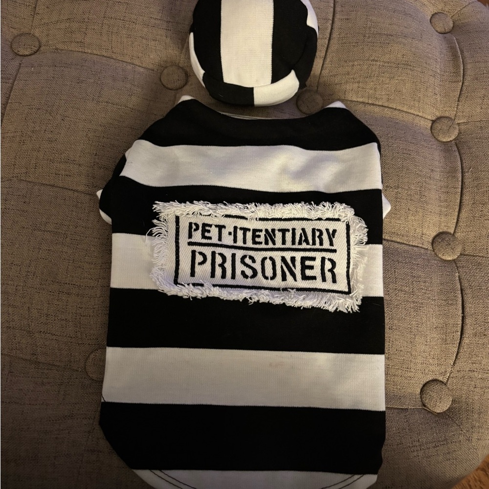 Black and White Striped “Prisoner” Pet Costume